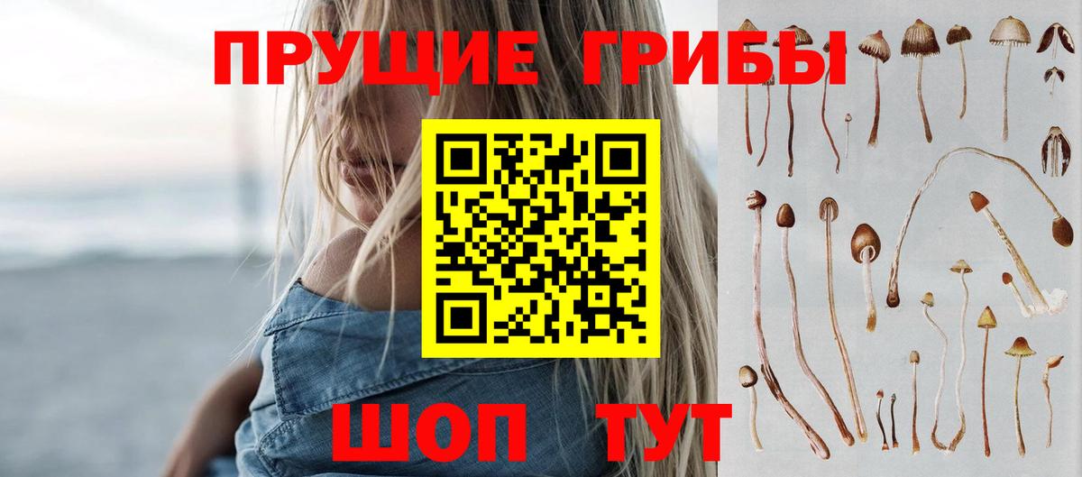 Кострома  Галлюциногенные грибы Psilocybe  магазин  наркотиков  Галлюциногенные грибы мицелий  Вход с VPN 